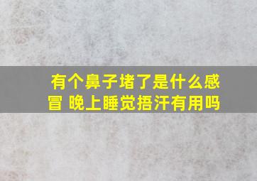 有个鼻子堵了是什么感冒 晚上睡觉捂汗有用吗